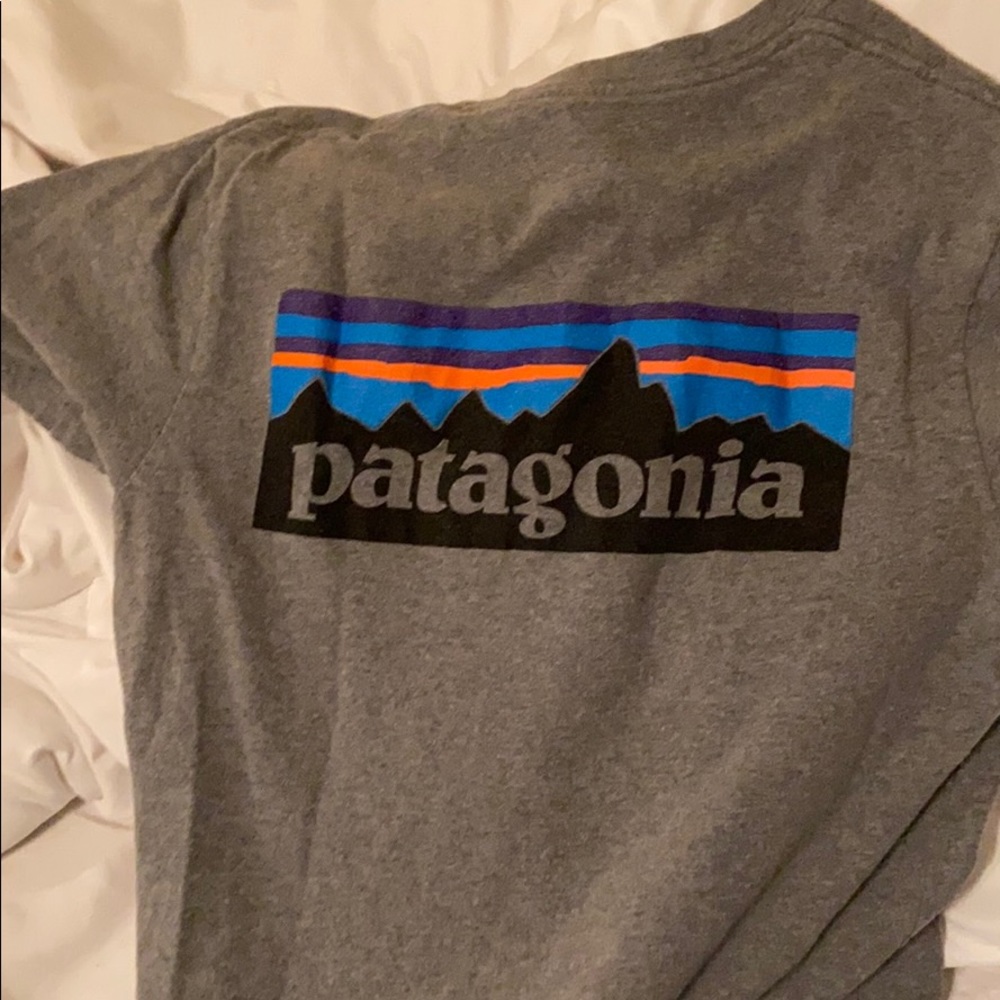 Gray Mens small Patagonia tee